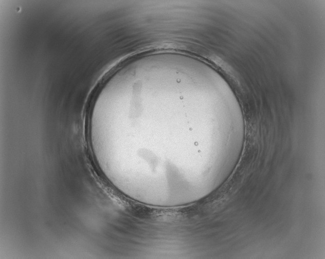 X0000075890886200609291703