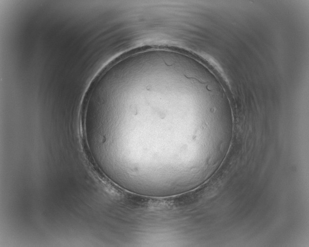 X0000075890887200609291703