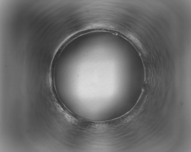 X0000075890888200609291703