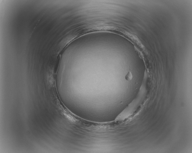 X0000075890889200609291703