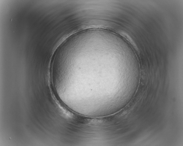 X0000075890890200609291703