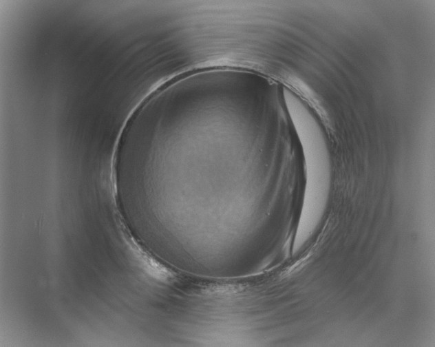 X0000075890892200609291703