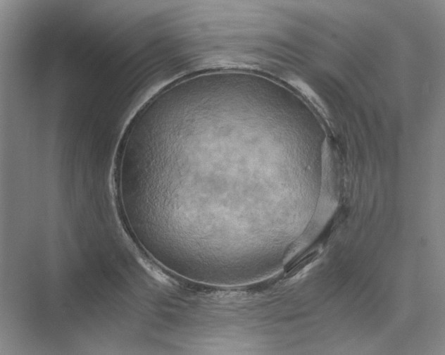 X0000075890893200609291703