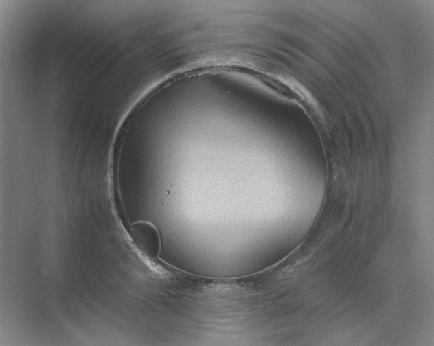 X0000075890894200609291703