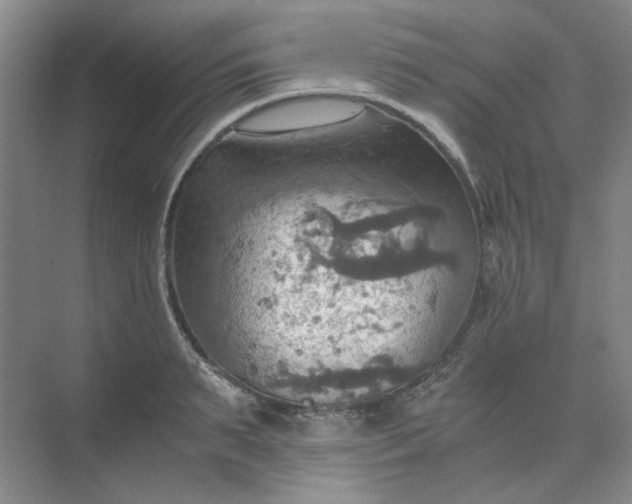 X0000075890895200609291703