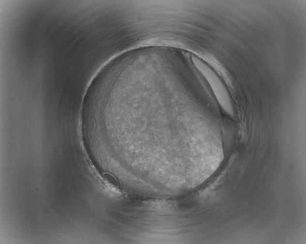 X0000075890896200609291703