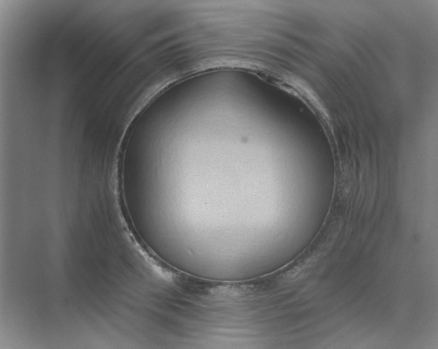 X0000075890898200609291703