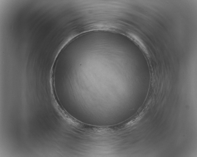 X0000075890899200609291703