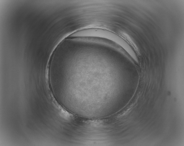 X0000075890900200609291703