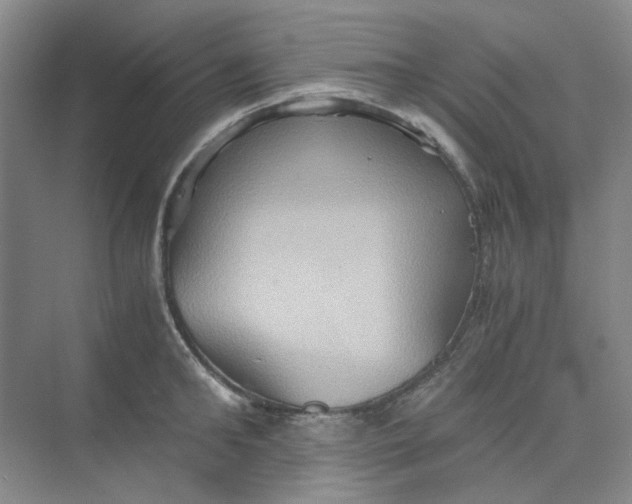 X0000075890902200609291703