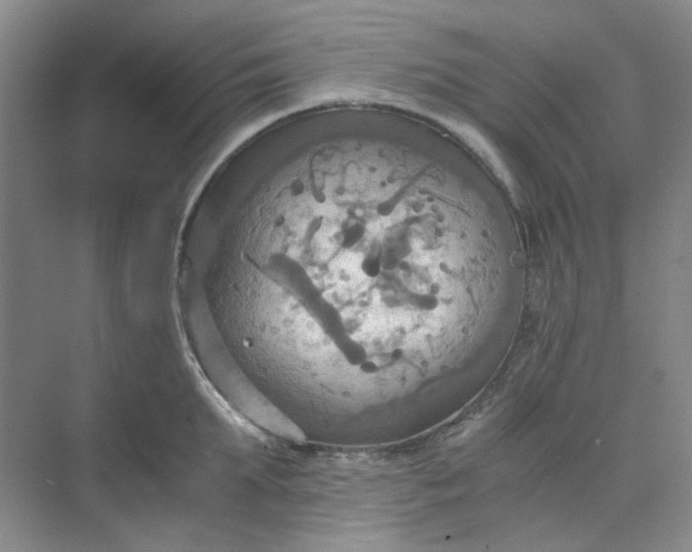 X0000075890903200609291703