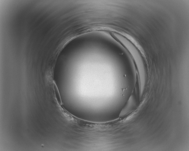 X0000075890905200609291702