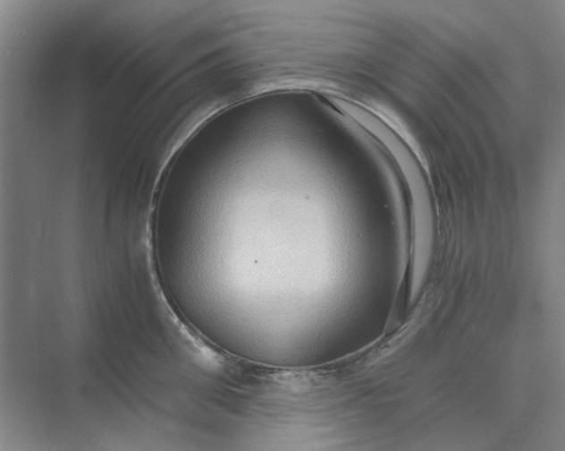 X0000075890906200609291702