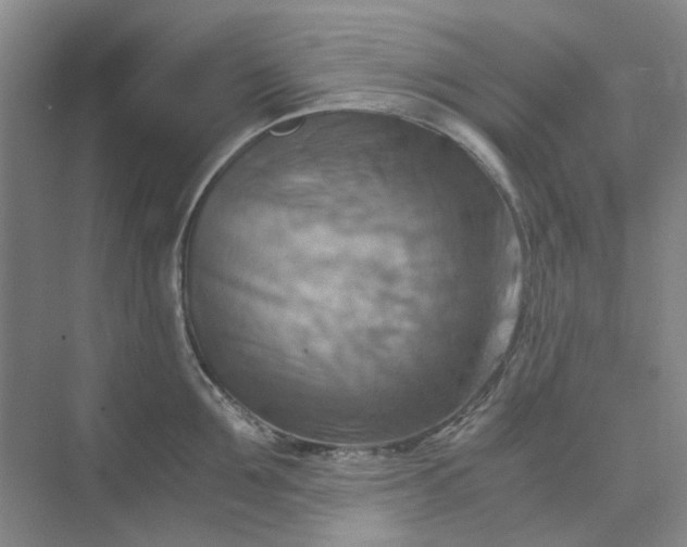 X0000075890907200609291702