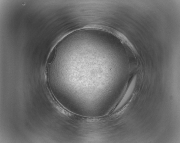 X0000075890908200609291702