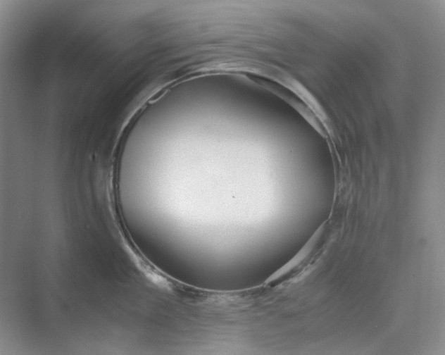 X0000075890909200609291702