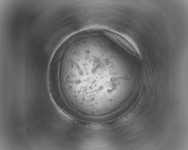 X0000075890911200609291702