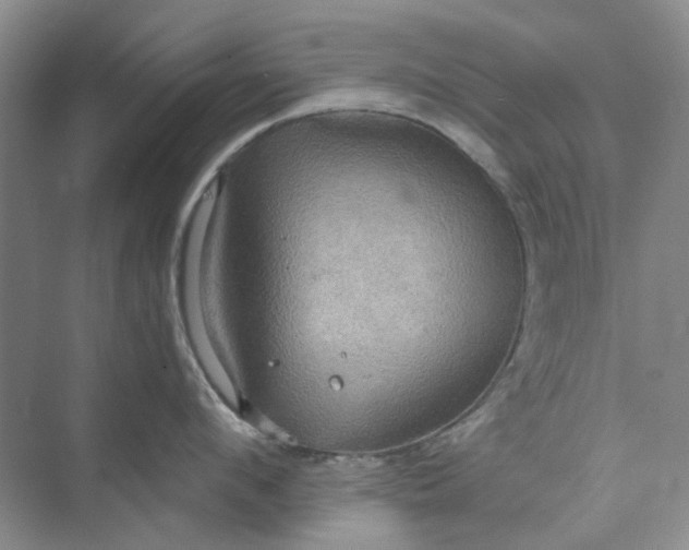 X0000075890912200609291702