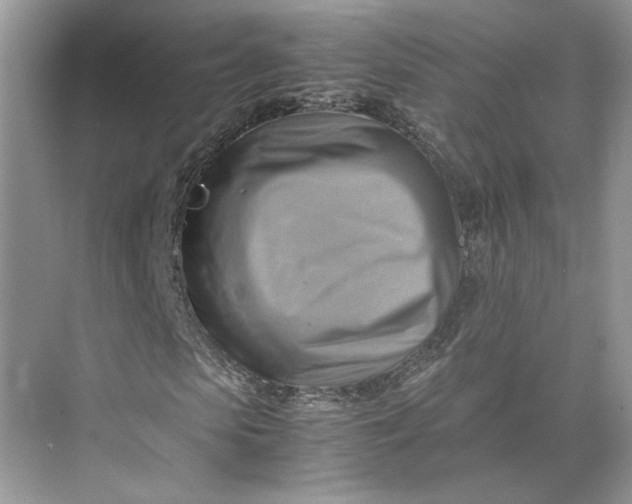 X0000075890913200609291702