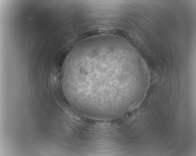 X0000075890914200609291702