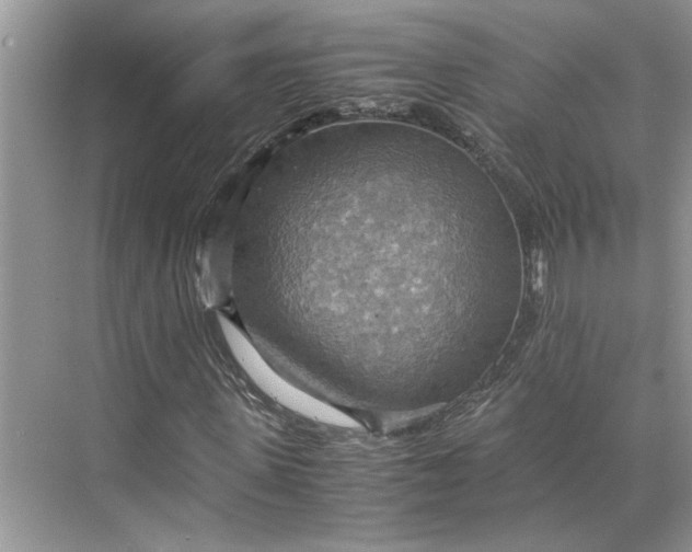 X0000075890915200609291702