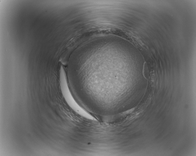 X0000075890916200609291702