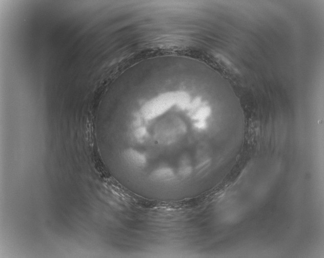 X0000075890917200609291702