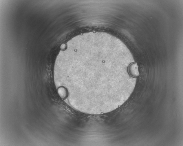 X0000075890918200609291702