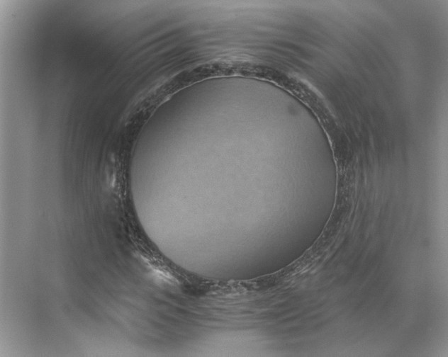 X0000075890919200609291702