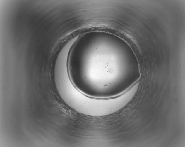 X0000075890920200609291702