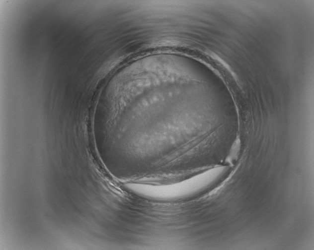 X0000075890921200609291702