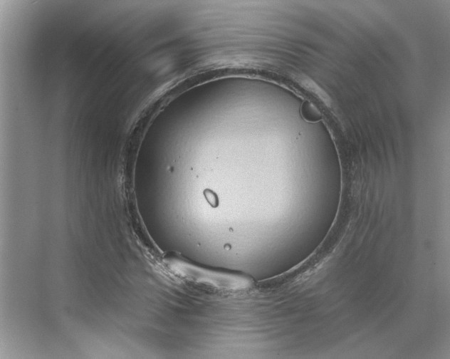 X0000075890922200609291702