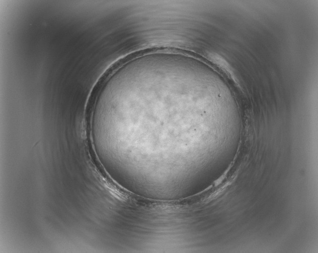 X0000075890924200609291702