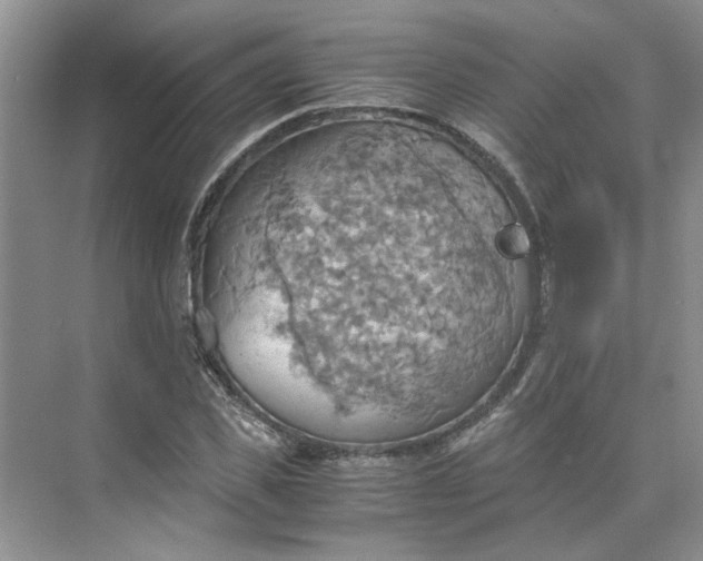 X0000075890925200609291702