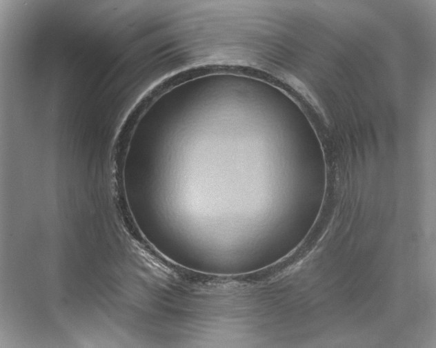 X0000075890926200609291702