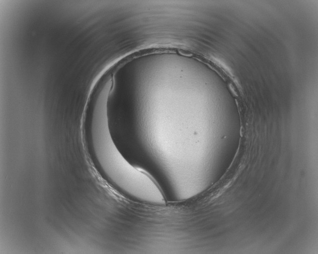 X0000075890928200609291702