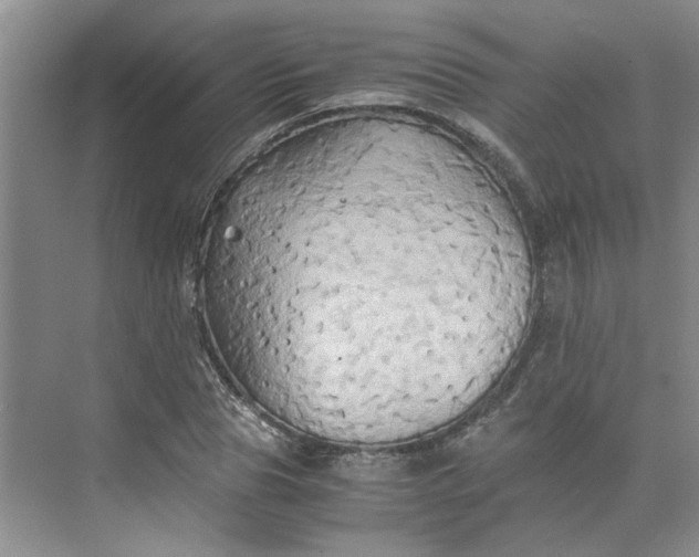 X0000075890929200609291702