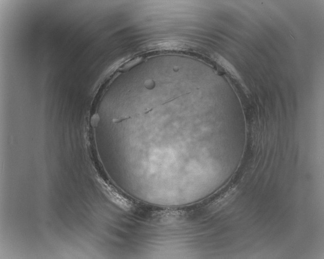 X0000075890930200609291702