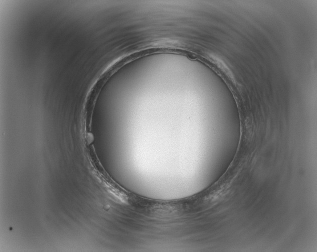 X0000075890931200609291702