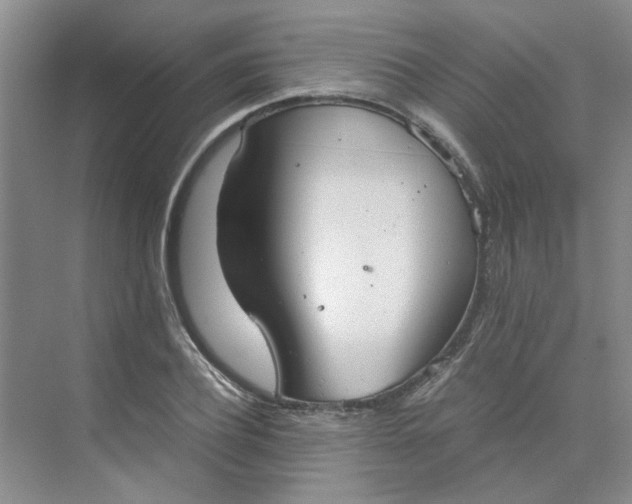 X0000075890932200609291702