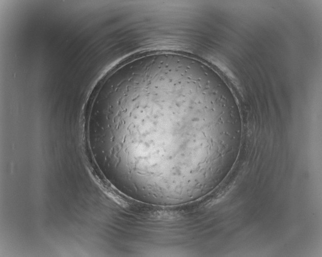 X0000075890933200609291702