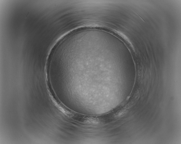 X0000075890935200609291702