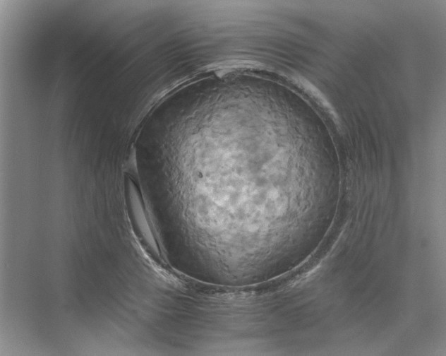 X0000075890937200609291702