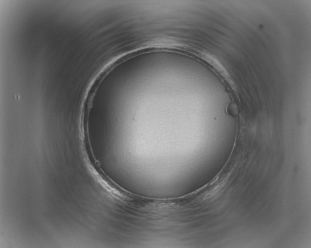 X0000075890939200609291702