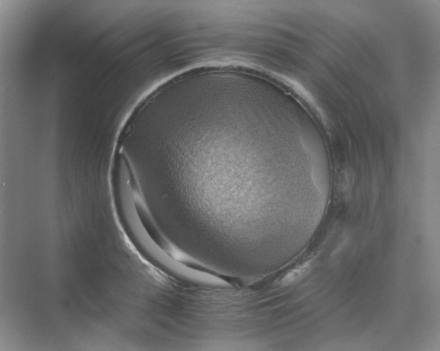 X0000075890943200609291702