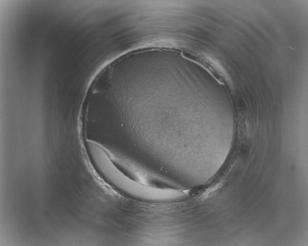 X0000075890944200609291702