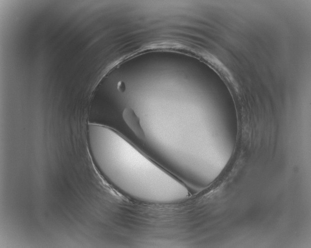 X0000075890945200609291702