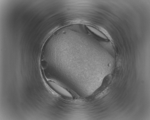 X0000075890946200609291702