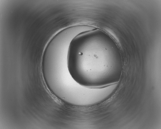 X0000075890948200609291702