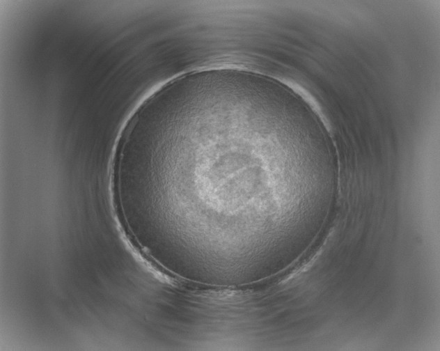 X0000075890949200609291702